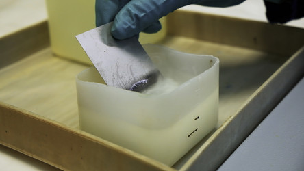 Similar image 22466600