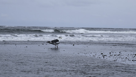 Similar image 22466723