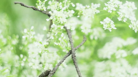 Similar image 22466796