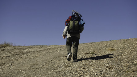 Similar image 22466902