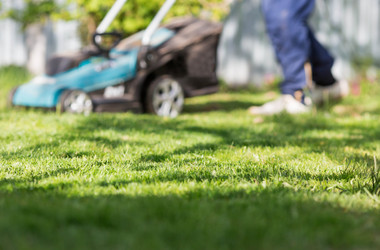 Similar image 22454468