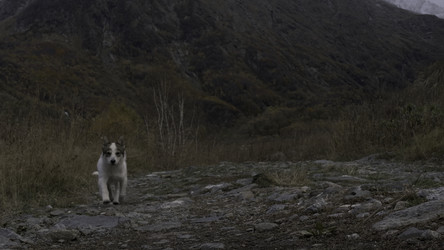 Similar image 22473476