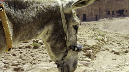 Similar image 22466527