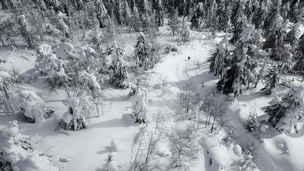 Similar image 22466528