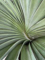 Similar image 22466557