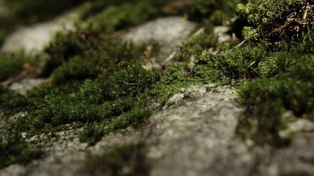 Similar image 22466617