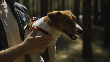 Similar image 22466873