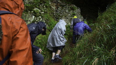 Similar image 22467008