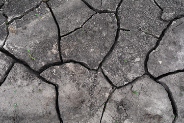 Similar image 22452578