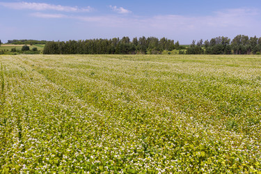 Similar image 22452580