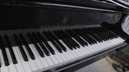 Similar image 22467233