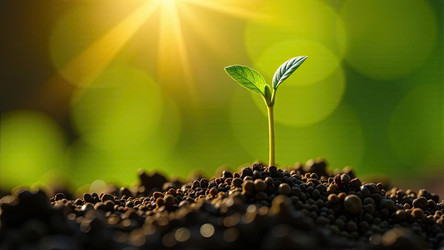 Similar image 22456141