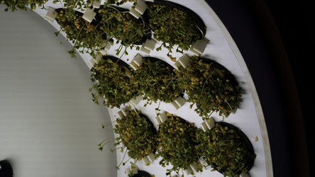 Similar image 22465711