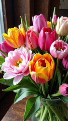 Similar image 22468008