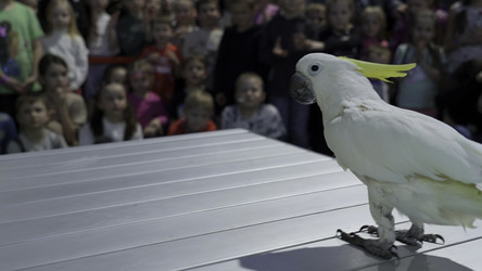 Similar image 22466574