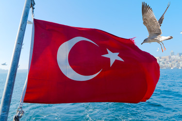 Similar image 22457450