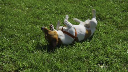 Similar image 22466812