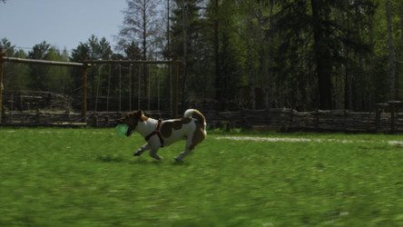 Similar image 22467036