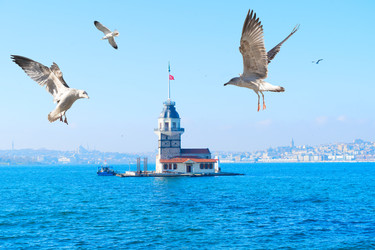 Similar image 22458086