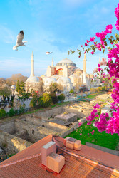 Similar image 22458115