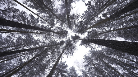 Similar image 22465698