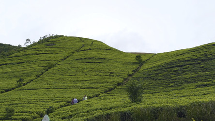 Similar image 22465712