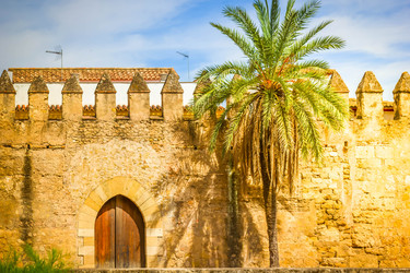 Similar image 22457316