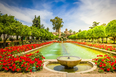 Similar image 22457333