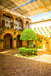 Similar image 22457390