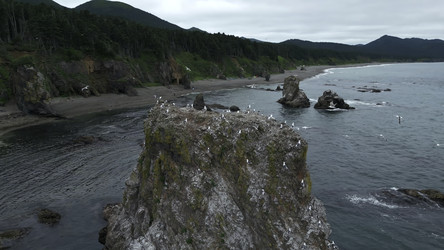 Similar image 22466783