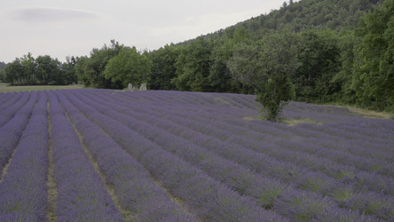 Similar image 22466903