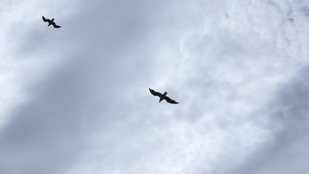 Similar image 22467068