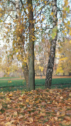 Similar image 22452314