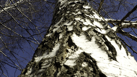 Similar image 22461386