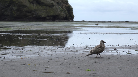 Similar image 22465728