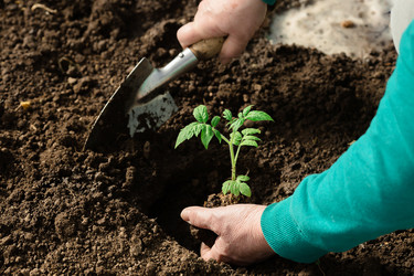 Similar image 22454369