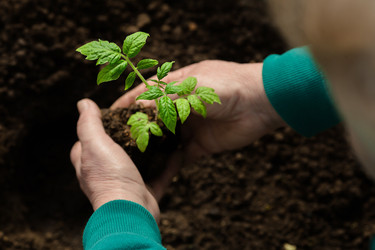 Similar image 22454432