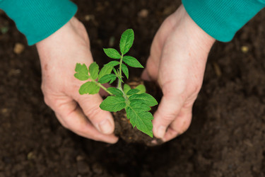 Similar image 22454481