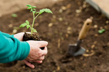 Similar image 22454484