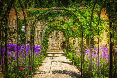 Similar image 22457481