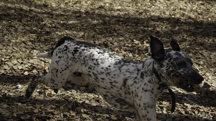 Similar image 22467099