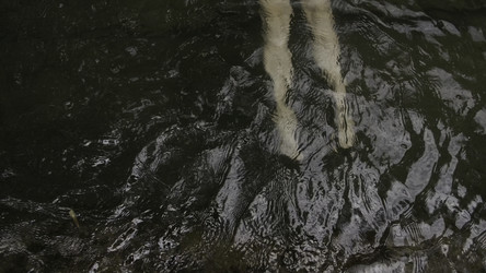 Similar image 22467279