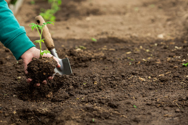 Similar image 22454496