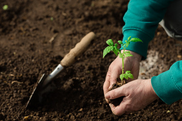 Similar image 22454502