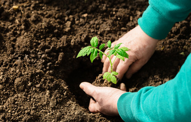 Similar image 22453711