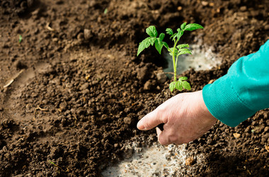 Similar image 22453743