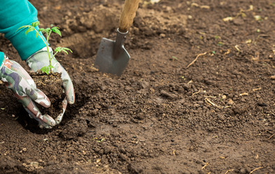 Similar image 22454291