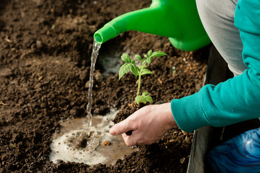 Similar image 22454507