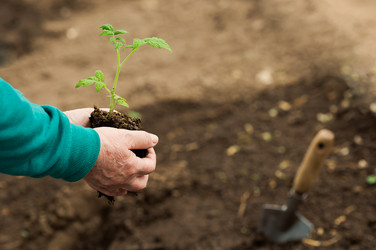 Similar image 22454538