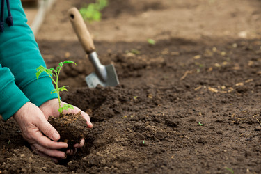 Similar image 22454545